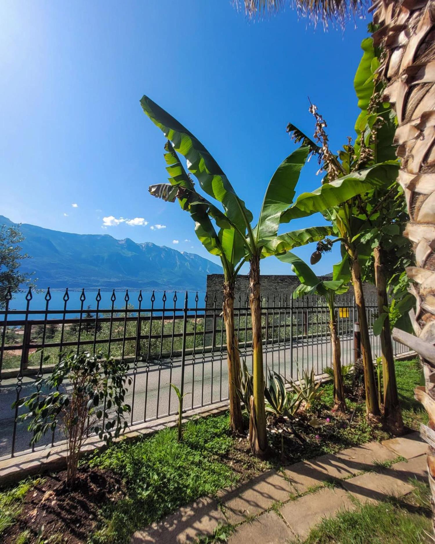 Villa Fior Di Loto Limone sul Garda Zewnętrze zdjęcie