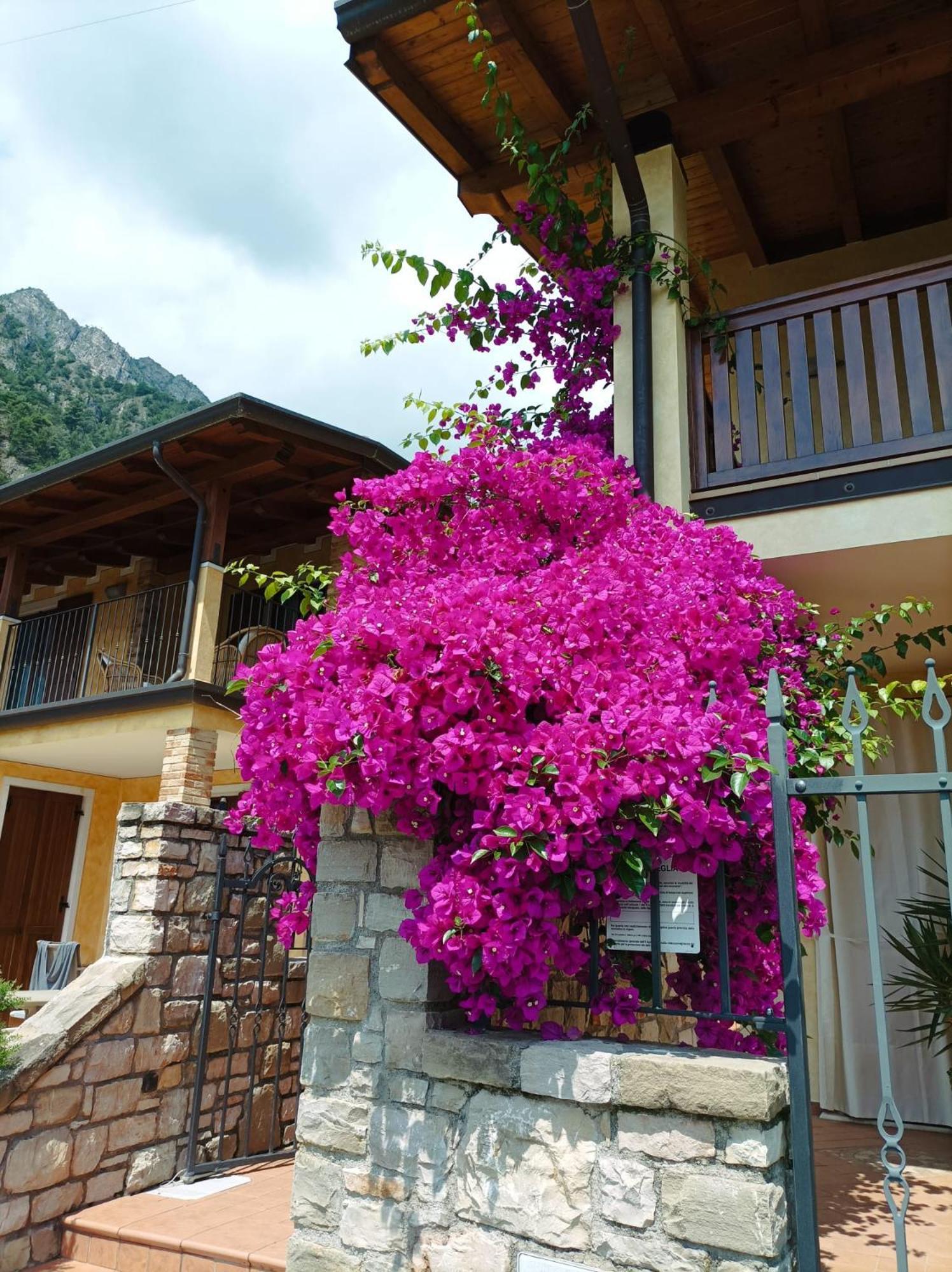 Villa Fior Di Loto Limone sul Garda Zewnętrze zdjęcie