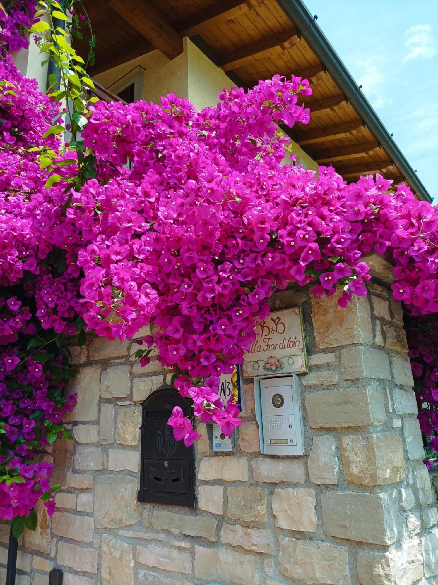 Villa Fior Di Loto Limone sul Garda Zewnętrze zdjęcie